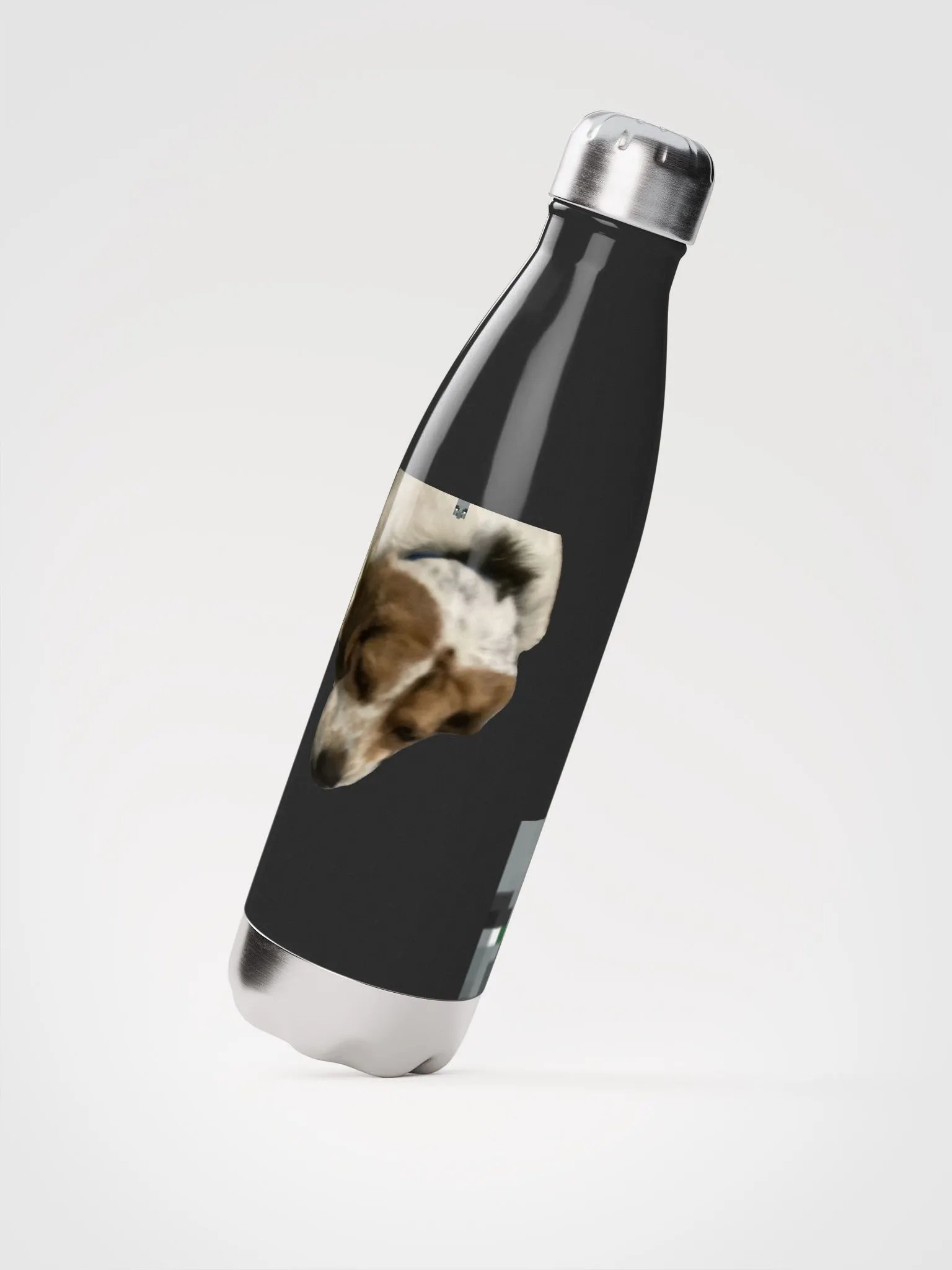 Stainless Water Bottle product image (3)
