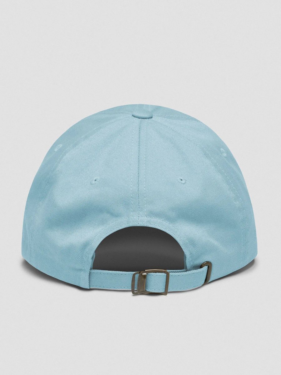 WDP Dad Hat product image (37)