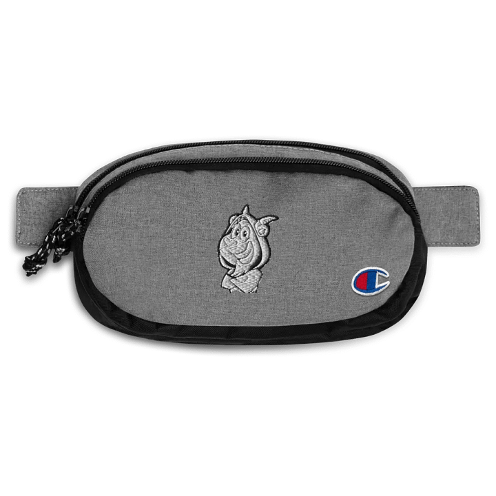 TLG FANNY PACK product image (1)