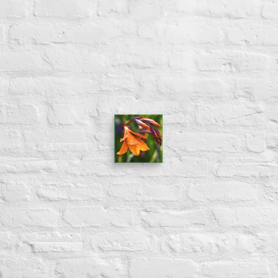 Canvas: Höstlilja Waterdrop product image (2)