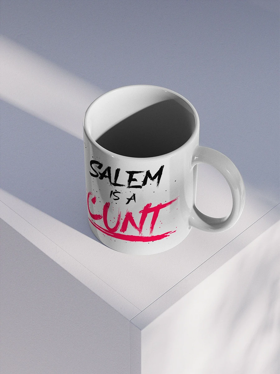 SALEM IS A C*NT [MUG] product image (3)