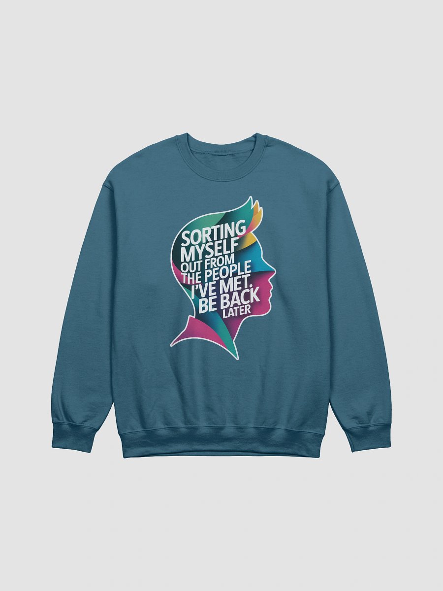 Sorting Myself Out Reflector Sweatshirt product image (1)