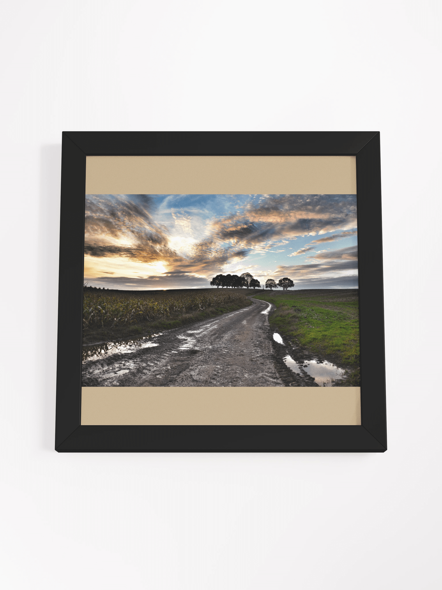 Courcelette Sunset - Framed product image (8)