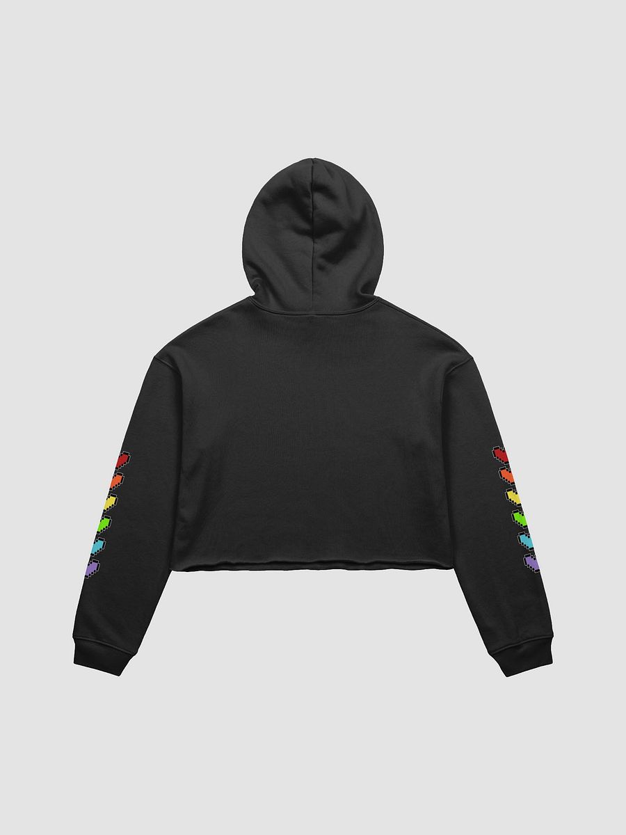 Y'all Means All - Crop Top Pride Hoodie product image (2)