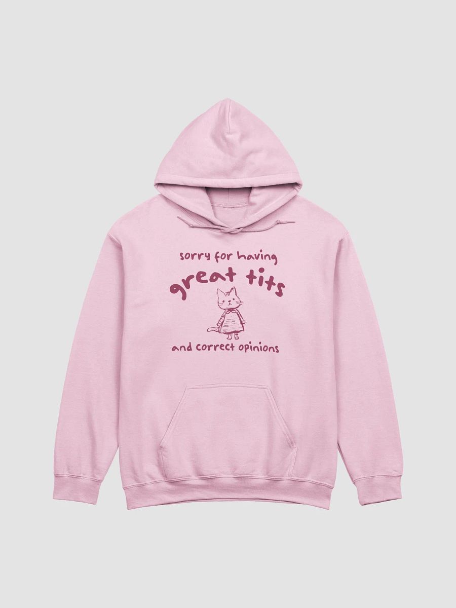 Sorry for having great tits and correct opinions Hoodie product image (1)