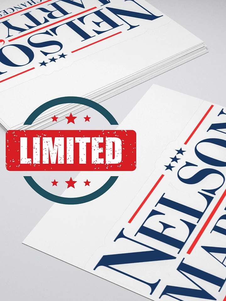 LIMITED EDITION - Election '24 Stickers product image (1)