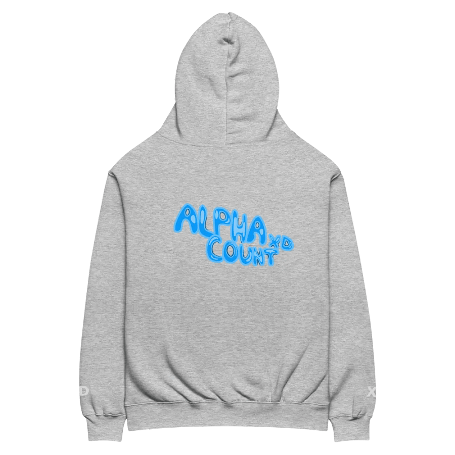 AlphaCountXD Hoodie product image (56)