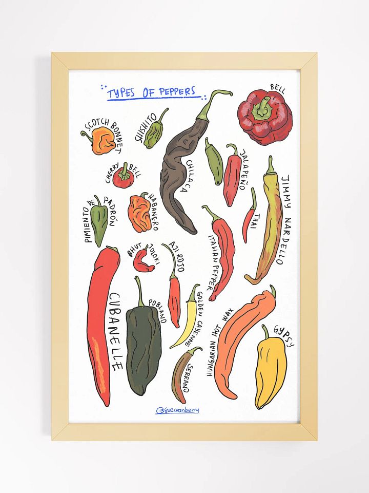 Types of Peppers Framed Poster product image (1)