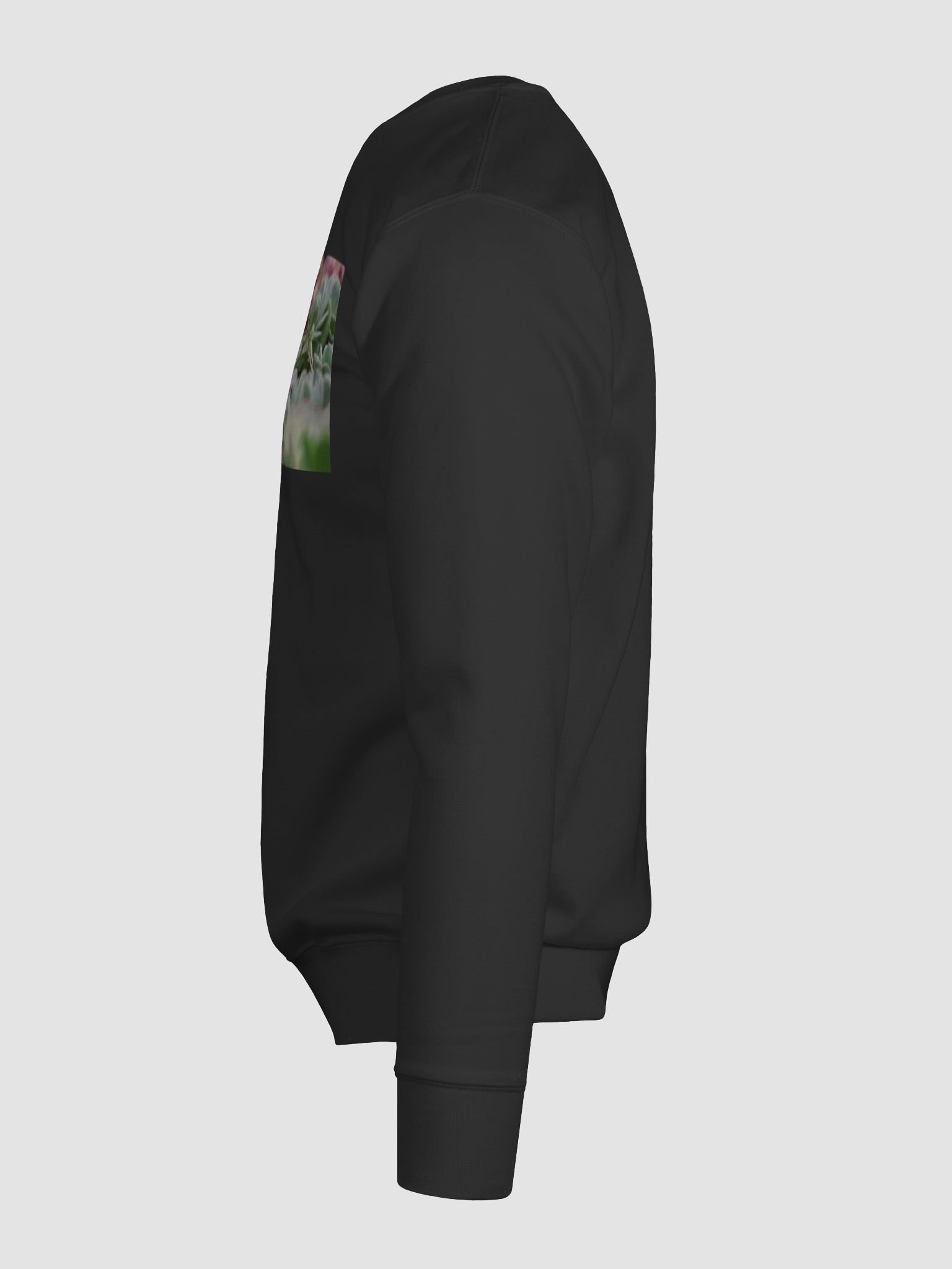 Succulent Serenity Sweatshirt product image (11)
