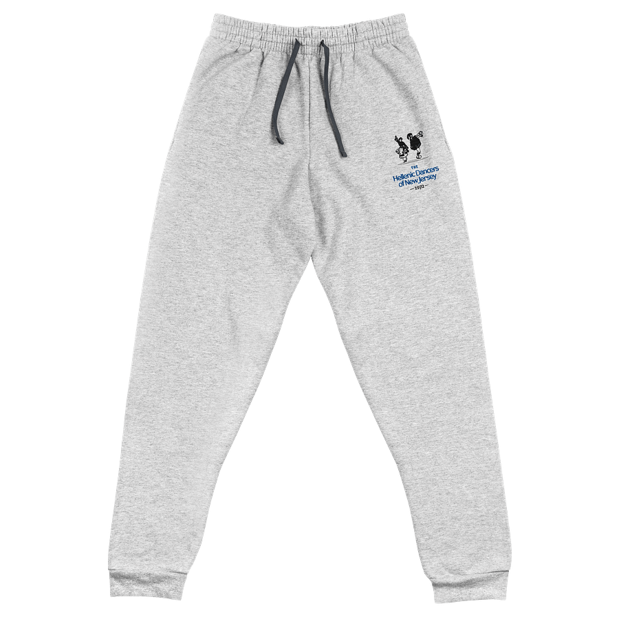HDNJ Embroidered Joggers product image (1)