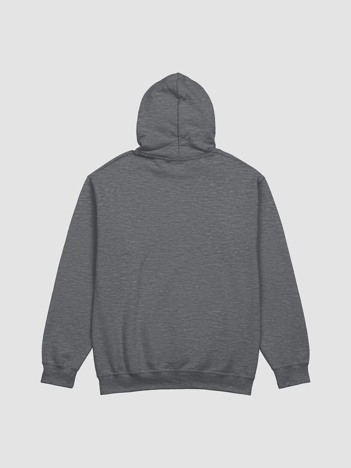 Sanctuary Ranch Hoodie product image (2)