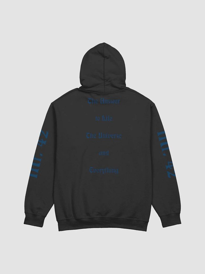 Hoodie - The Answer product image (2)