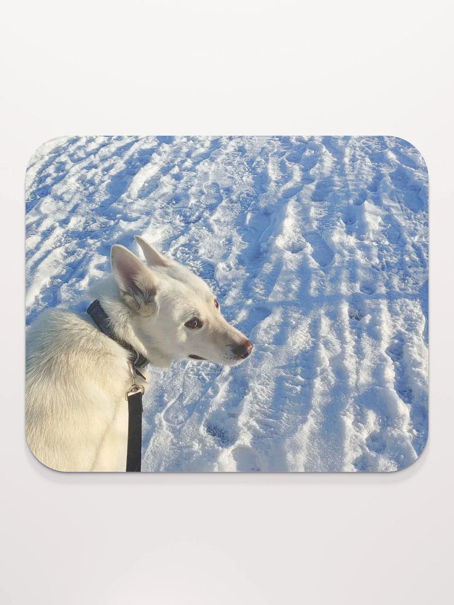 wintertime walk boy product image (1)