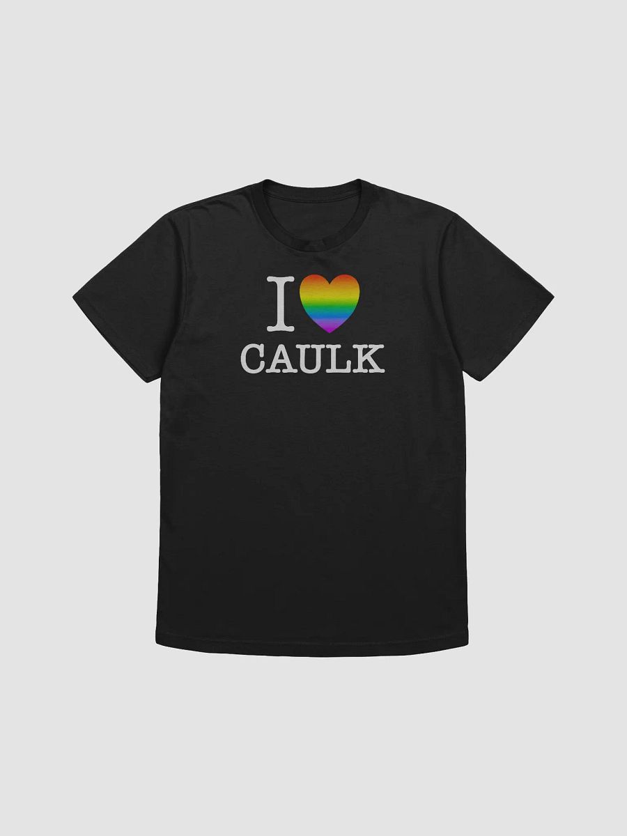 I LOVE CAULK Rainbow / Dark Fitted Tee product image (1)