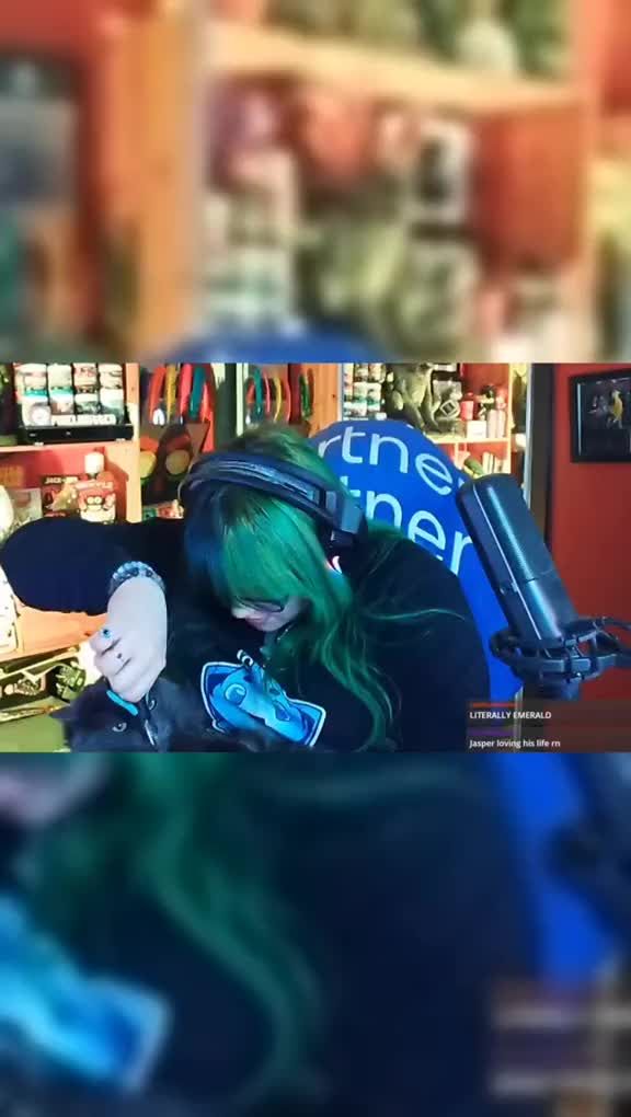 if one of my cats jump on my lap while I'm streaming, they WILL have their nails trimmed lmao #twitchstreamers #twitchpartners #catsoftwitch #streamperpets #pixelxkitten #contentcreatorpets #creatorpets 