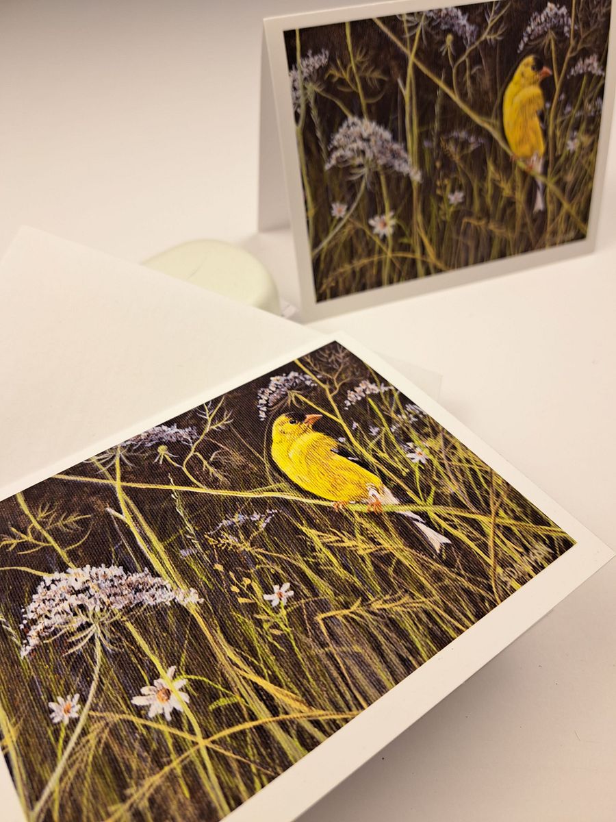 Wildlife Art Greeting Card - American Goldfinch - Shipping Included product image (2)