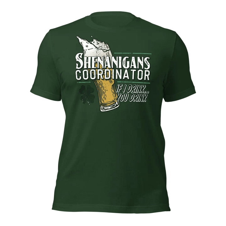 Shenanigans Coordinator product image (10)