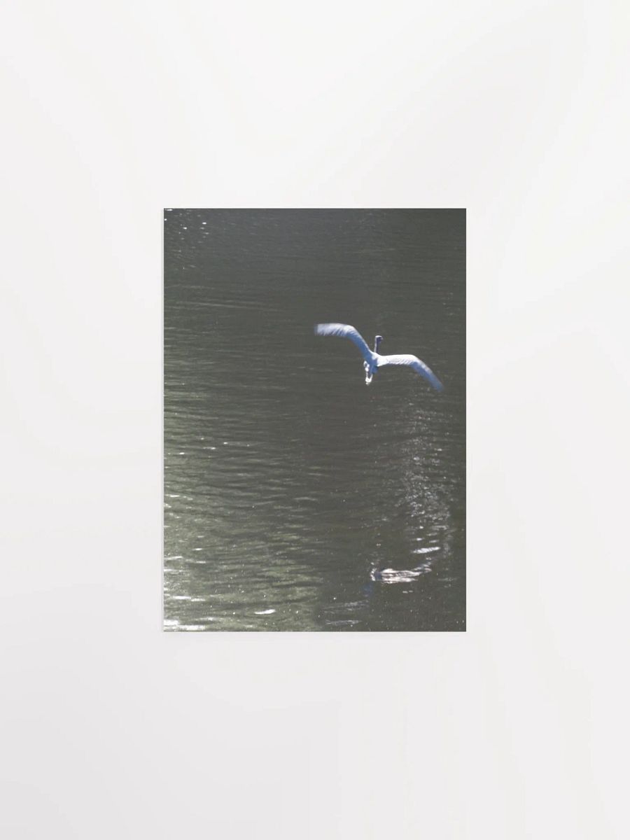 Flying Heron product image (2)