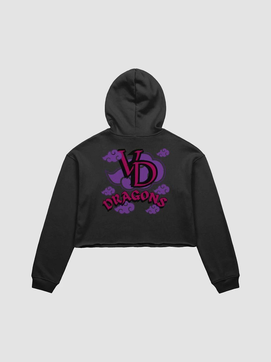 THE POISON RAIN CLOUD crop top HOODIE product image (7)
