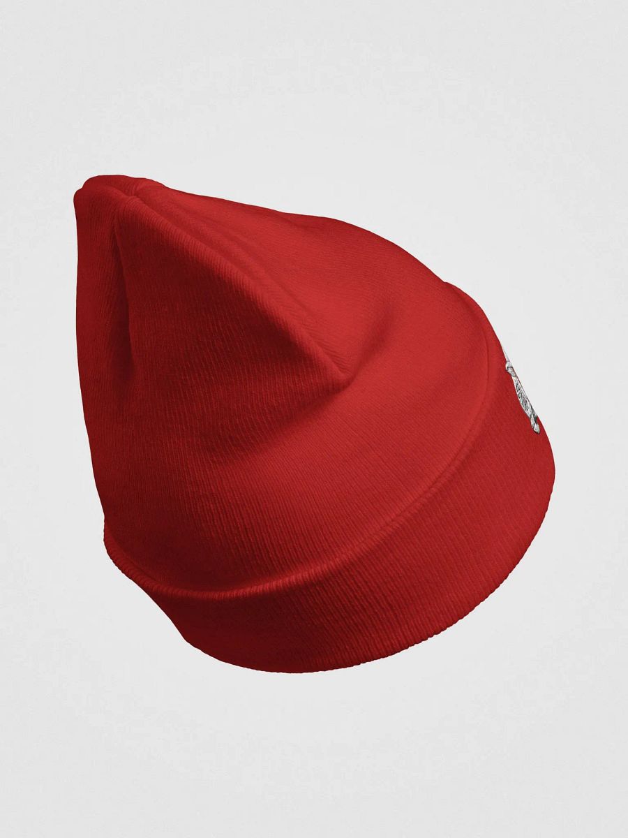 BC-EMBORIDERED-BEENIECRAFT product image (3)