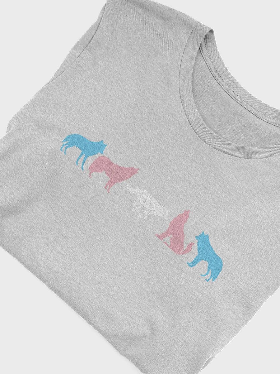 Transgender Pride Wolves Women's T-Shirt product image (46)