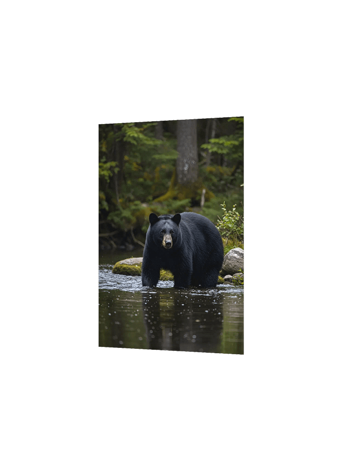 Smoky Mountain Black Bear Cove Poster product image (10)
