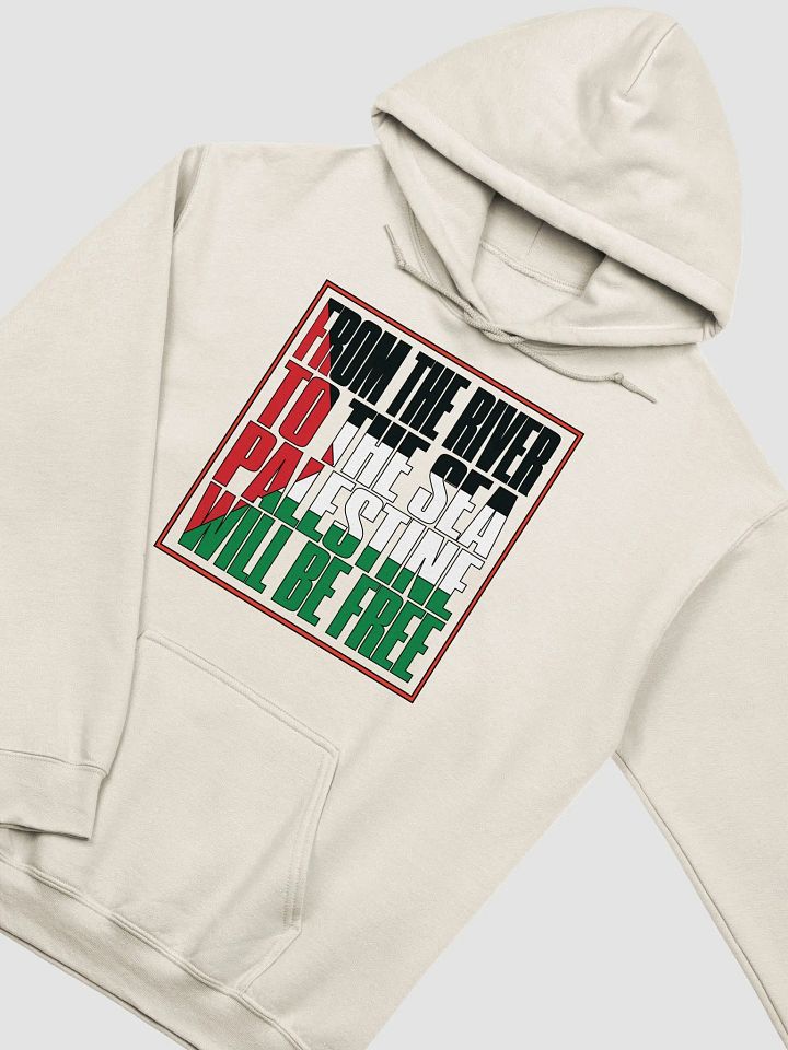From The River To The Sea - Gildan Classic Hoodie product image (25)
