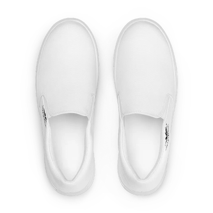 Merch Shoes product image (1)
