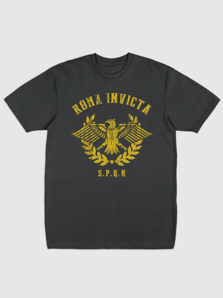 Rome Reborn v2 Heavy Tee product image (2)