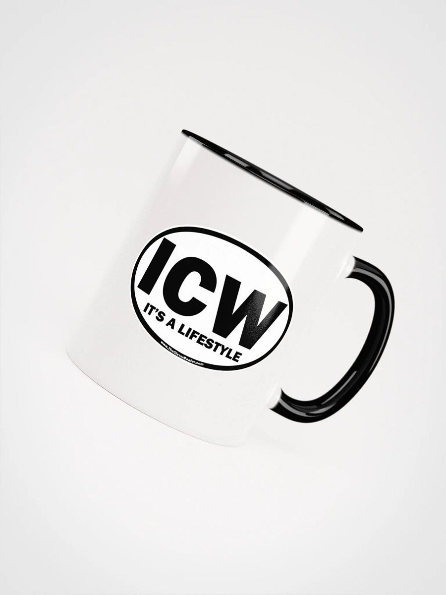 ICW - It's A Lifestyle - Color Inside Mug product image (49)