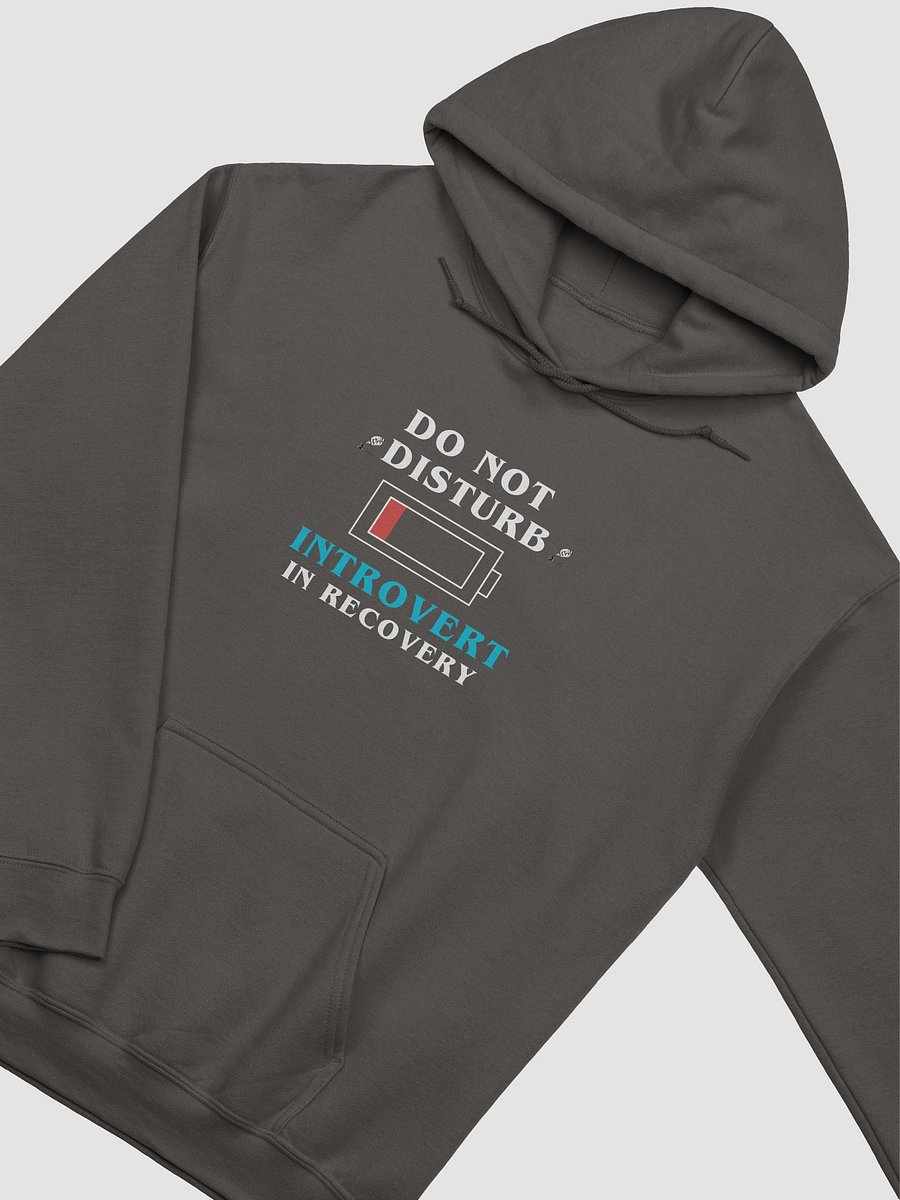 Do Not Disturb: Introvert in Recovery Hoodie product image (11)
