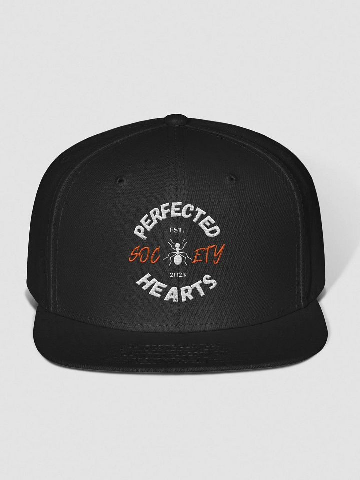 PHS Snapback Ballcap product image (1)