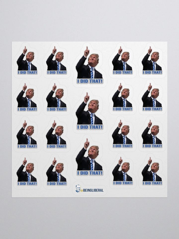 I Did That Trump Stickers - Being Liberal product image (1)