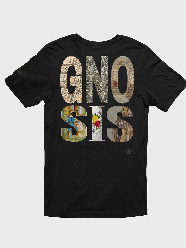 Gnosis Project 2025 product image (2)