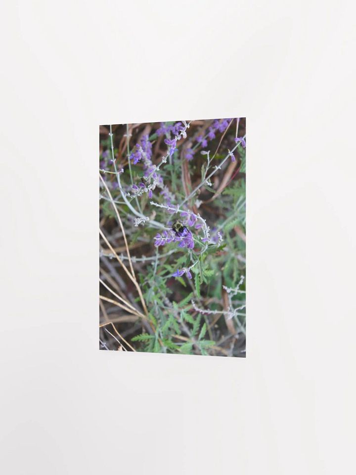 A Study in Flowers 4 product image (13)