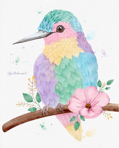 Watercolour Hummingbird 🐦

It’s taken a while but I finally got around to finishing my illustration of a Hummingbird for the ...