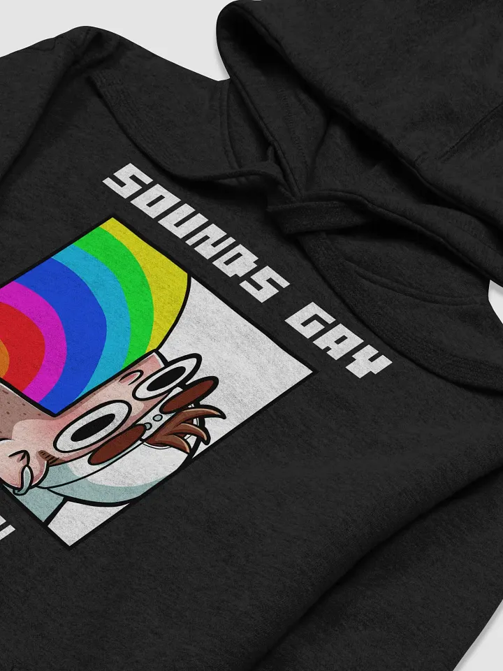 Sounds Gay I'm In Alt Premium Hoodie product image (2)