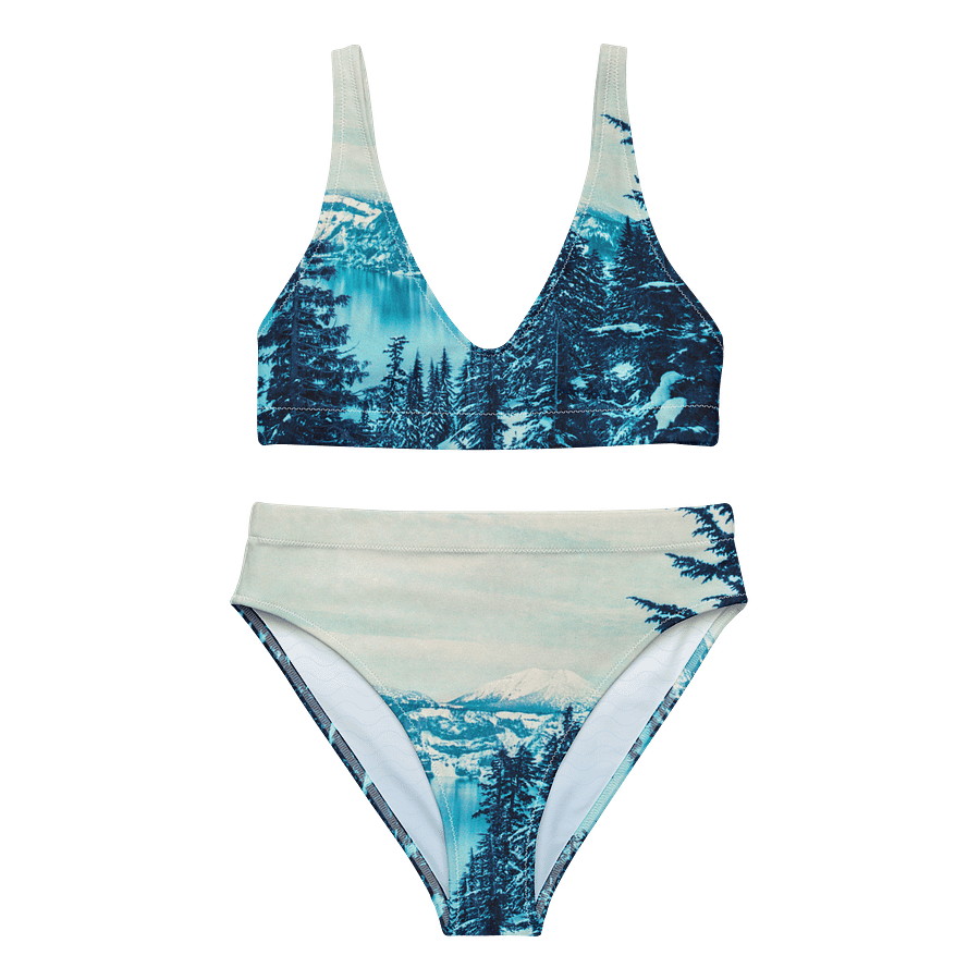 Lomography Purple Recycled High Waisted Bikini product image (1)