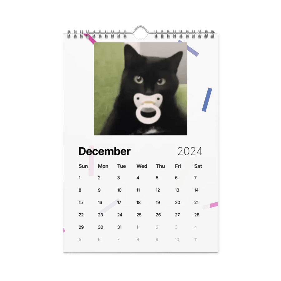 Wall Calendar (2024): Meme Cats product image (6)