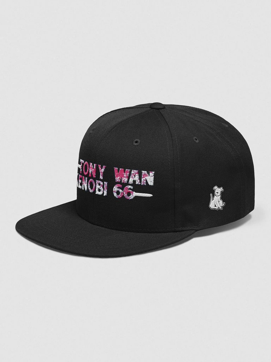 TonyWan SnapBack product image (43)