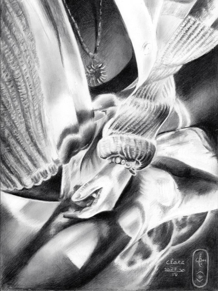 Clara – 24-04-20 product image (1)