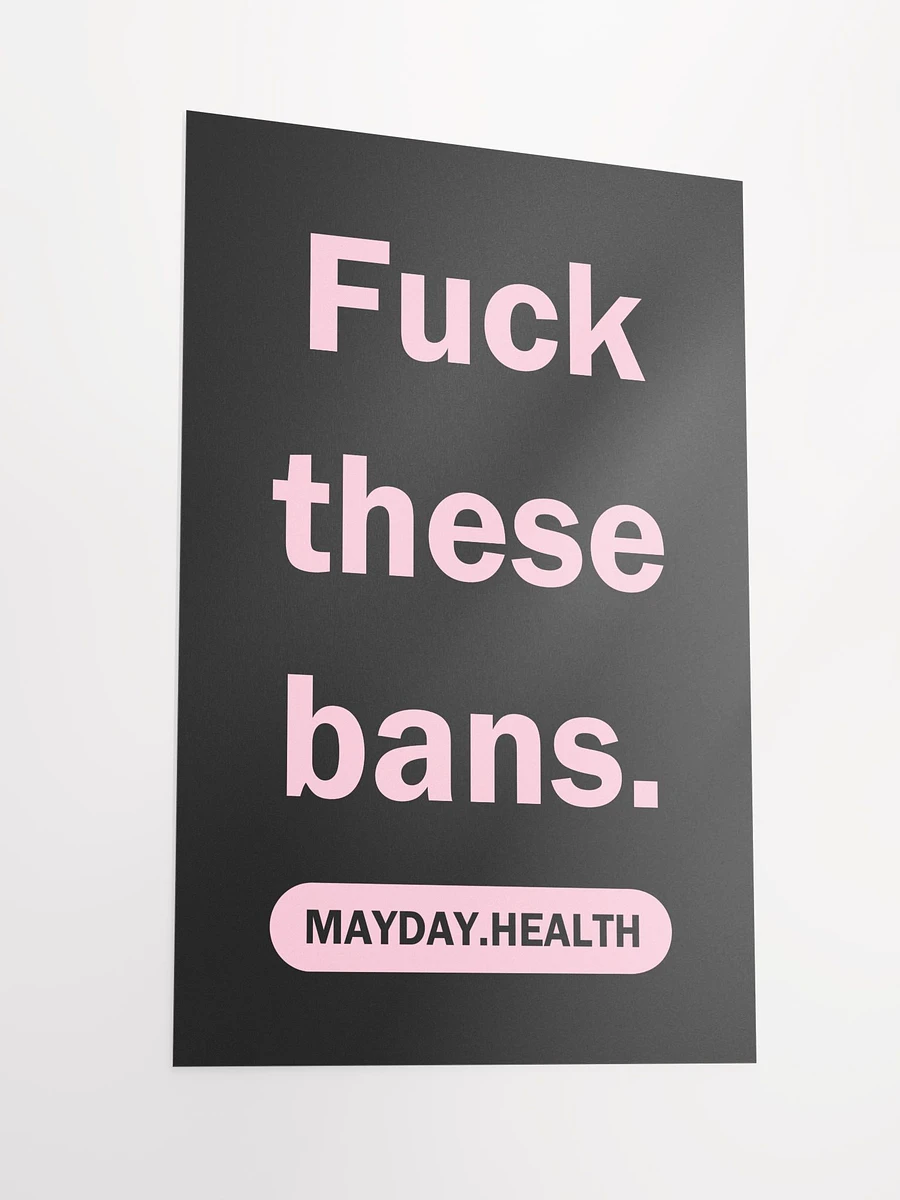 Fuck these bans poster product image (4)