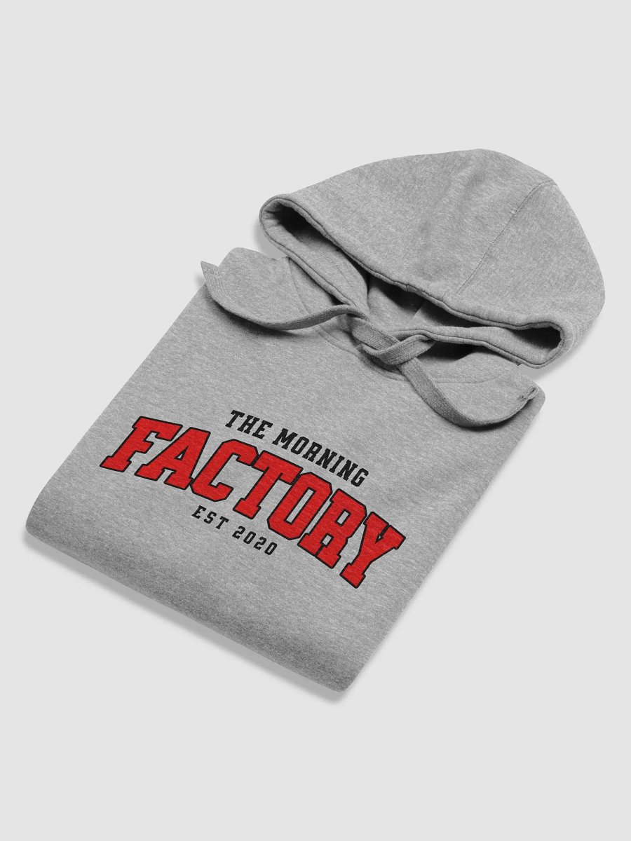 TMF Est.2020 - Unisex Premium Hoodie product image (23)