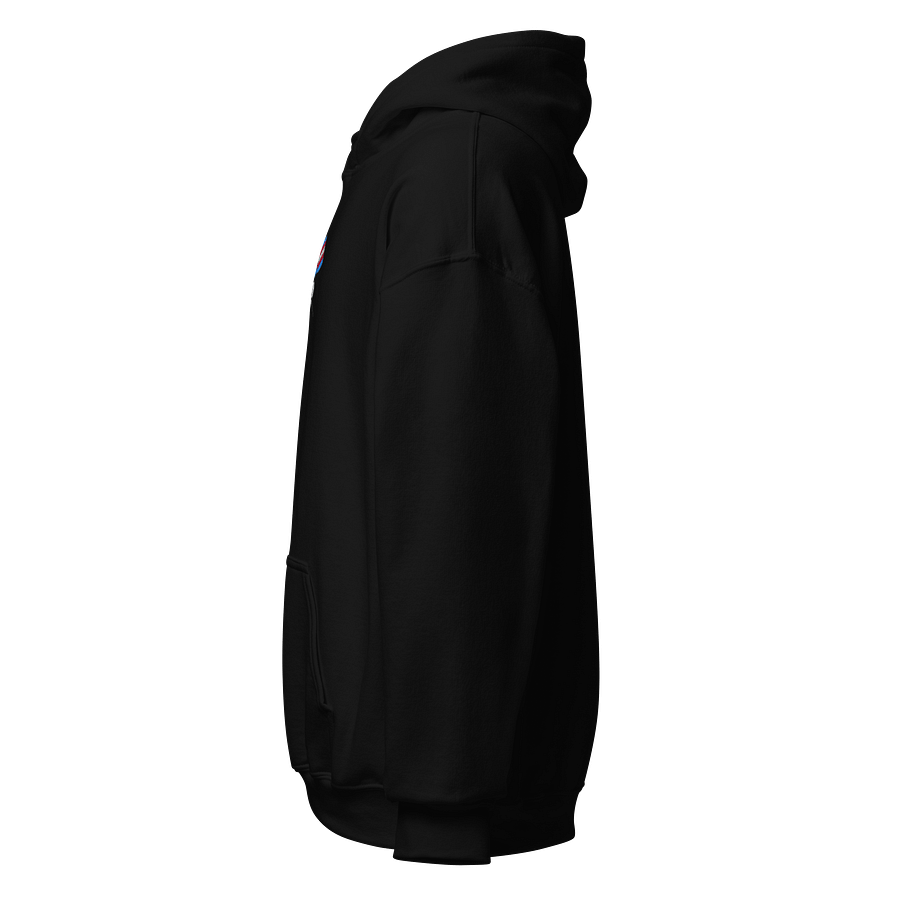 Alternative Trans Pride Hoodie product image (2)