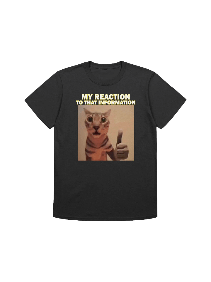 MY HONEST REACTION TO THAT INFO T-SHIRT product image (3)