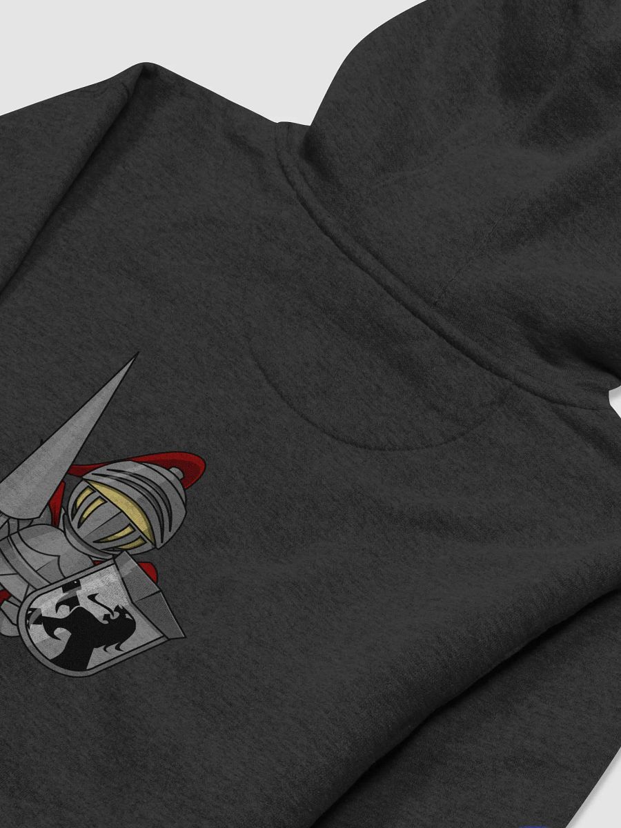 NYT HOODIE product image (32)