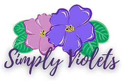 Simply Violets