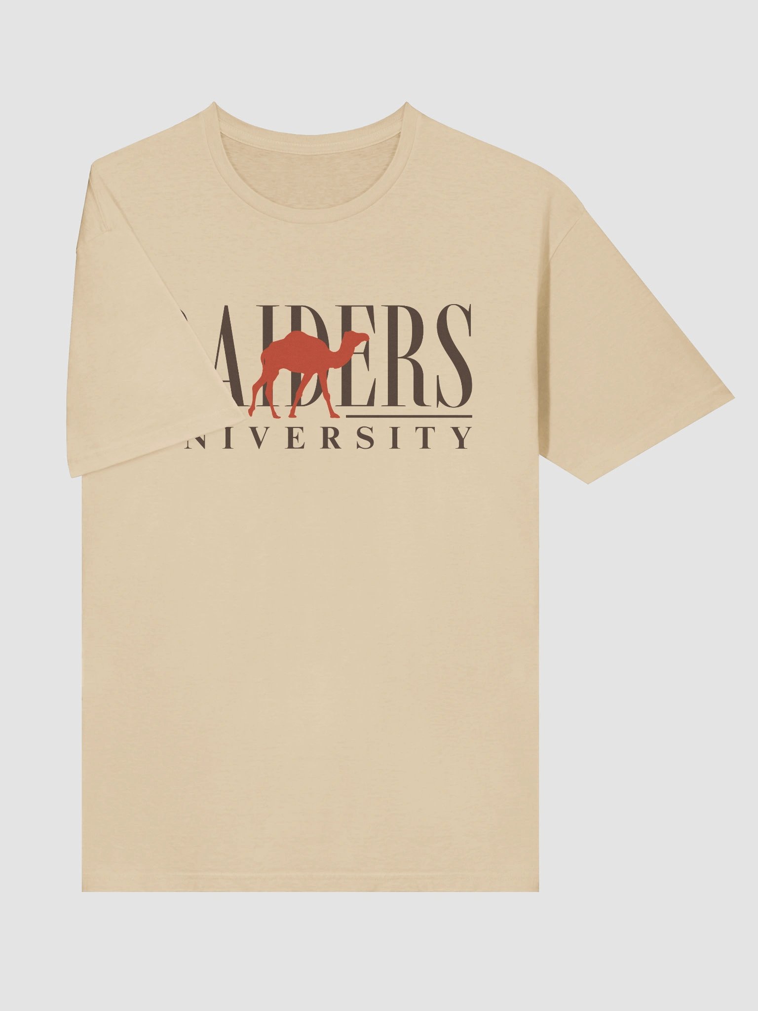 Raiders University Tee product image (5)