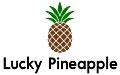 The Lucky Pineapple Shop | Official Merch from Lucky Pineapple Films