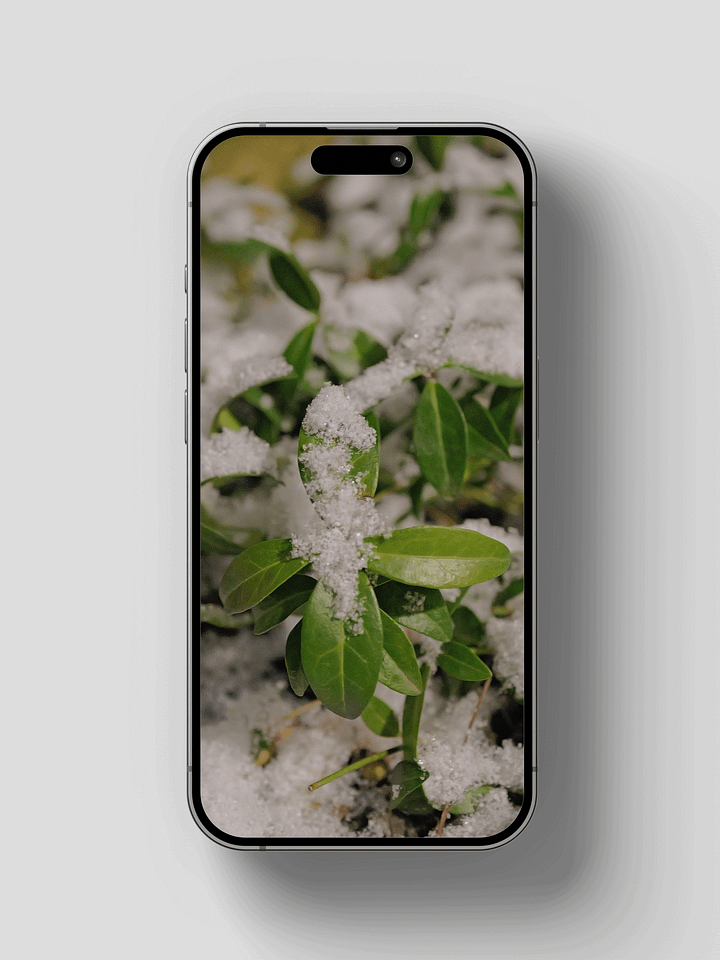 Let It Snow Wallpaper Pack product image (2)